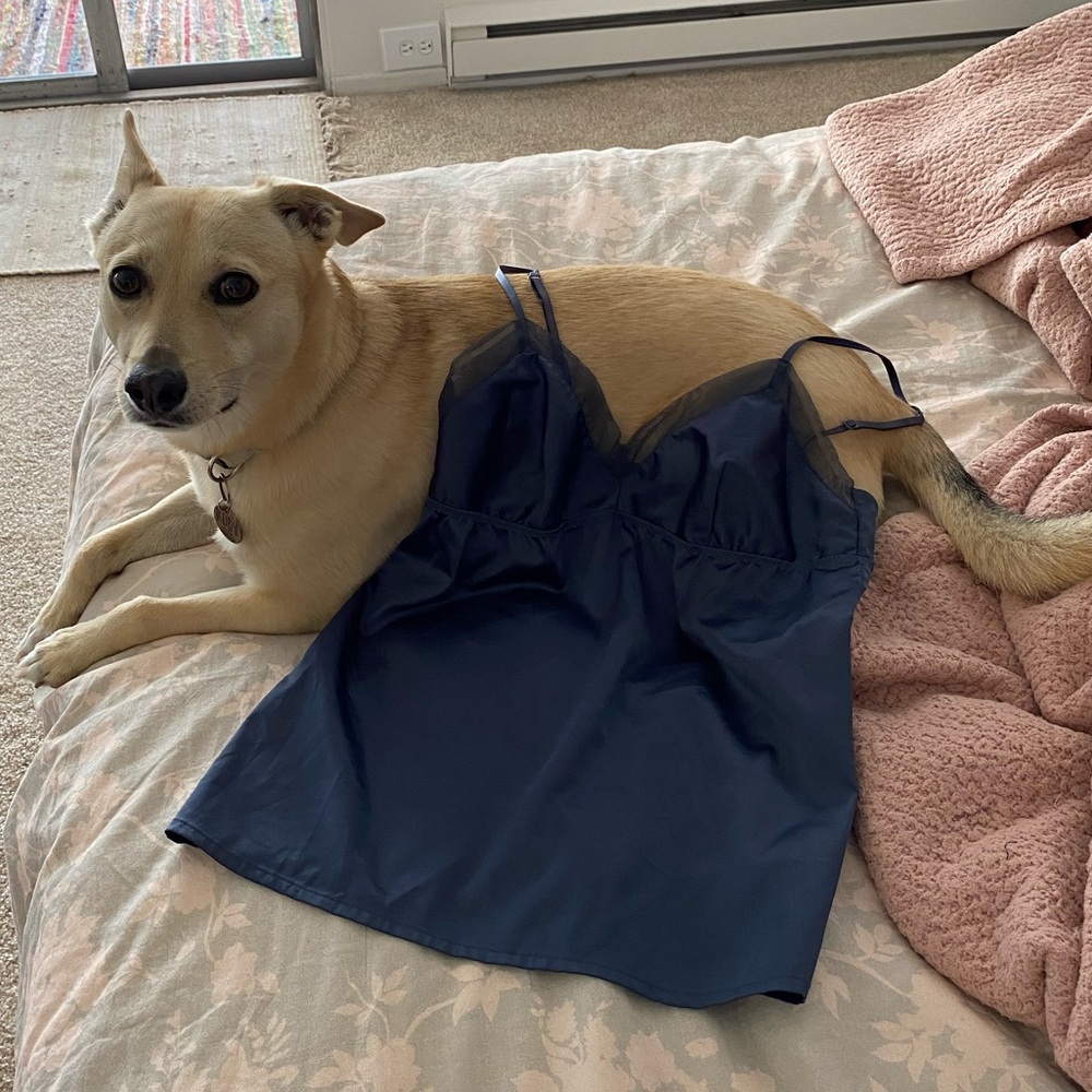 Vintage Blue Lingerie Tank